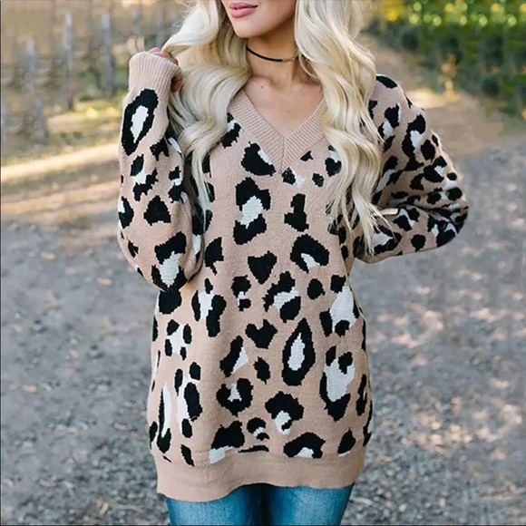 Foxarazzi Sweaters - Sale! Leopard V Neck Sweater in Taupe